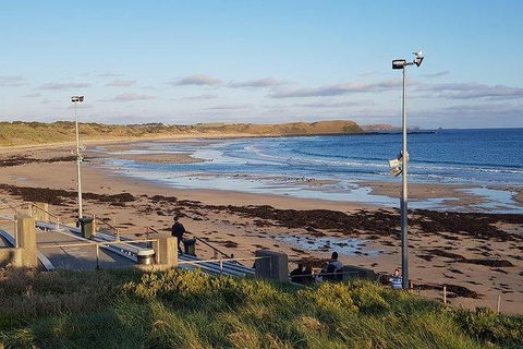 Phillip Island Penguin And Wildlife Tour - Accommodation Directory 8