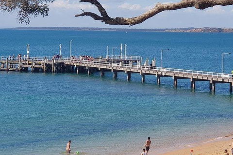 Phillip Island Penguin And Wildlife Tour - Accommodation Directory 2