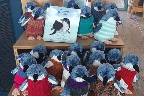 Phillip Island Penguin And Wildlife Tour - Accommodation Directory 27