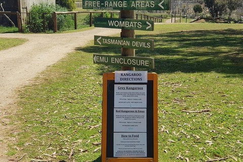 Phillip Island Penguin And Wildlife Tour - Accommodation Directory 4