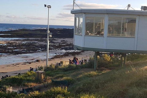 Phillip Island Penguin And Wildlife Tour - Accommodation Directory 33