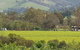 Day Tour Of Yarra Valley Puffing Billy And Rayners Orchard - thumb 44