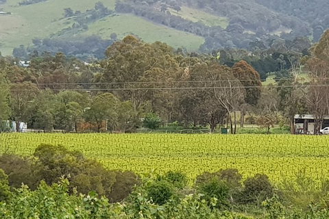 Day Tour Of Yarra Valley Puffing Billy And Rayners Orchard - Accommodation Directory 44