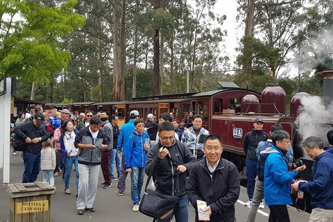 Day Tour Of Yarra Valley Puffing Billy And Rayners Orchard - Accommodation Directory 3