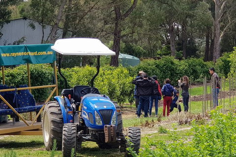 Day Tour Of Yarra Valley Puffing Billy And Rayners Orchard - Accommodation Directory 10