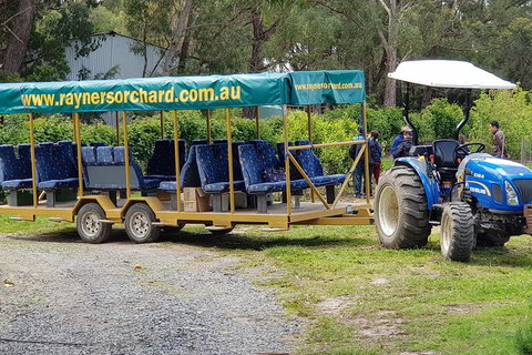 Day Tour Of Yarra Valley Puffing Billy And Rayners Orchard - Accommodation Directory 48