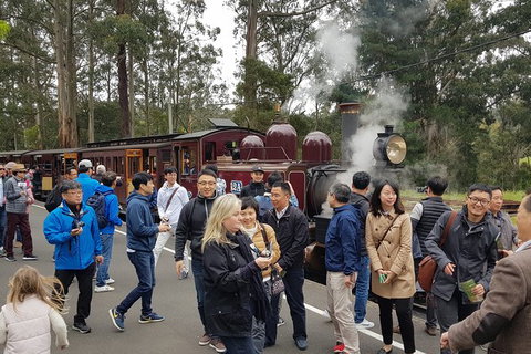 Day Tour Of Yarra Valley Puffing Billy And Rayners Orchard - Accommodation Directory 18