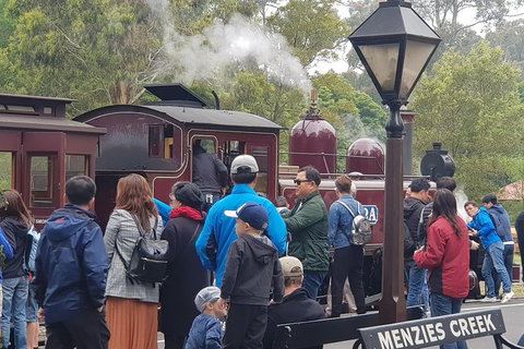 Day Tour Of Yarra Valley Puffing Billy And Rayners Orchard - Accommodation Directory 40