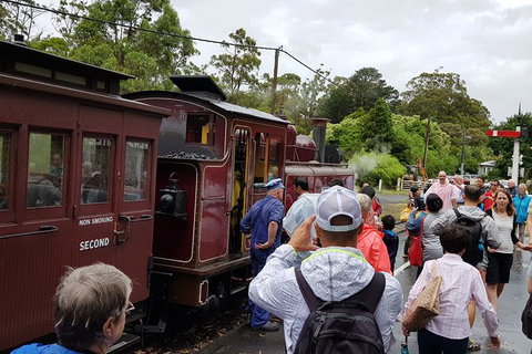 Day Tour Of Yarra Valley Puffing Billy And Rayners Orchard - Accommodation Directory 23