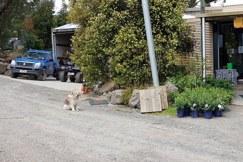 Day Tour Of Yarra Valley Puffing Billy And Rayners Orchard - Accommodation Directory 6
