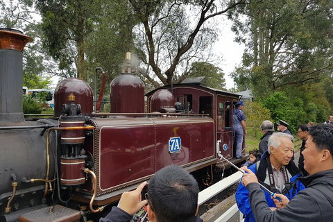 Day Tour Of Yarra Valley Puffing Billy And Rayners Orchard - Accommodation Directory 28