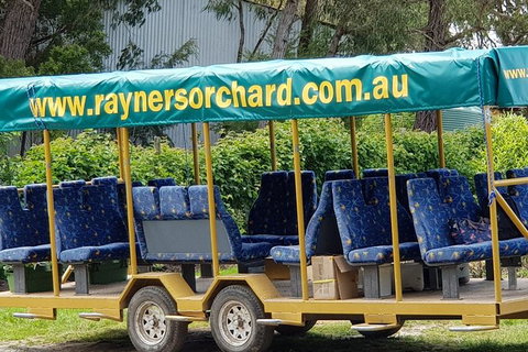 Day Tour Of Yarra Valley Puffing Billy And Rayners Orchard - Accommodation Directory 33