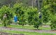 Day Tour Of Yarra Valley Puffing Billy And Rayners Orchard - thumb 1