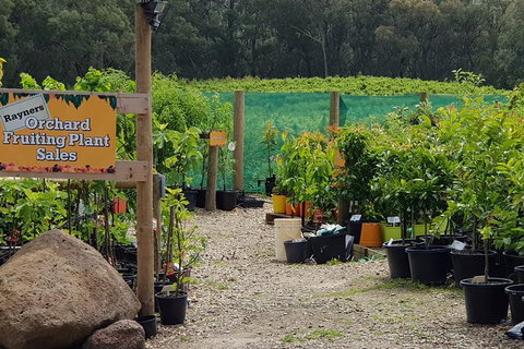 Day Tour Of Yarra Valley Puffing Billy And Rayners Orchard - Accommodation Directory 22
