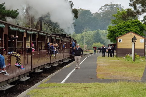 Day Tour Of Yarra Valley Puffing Billy And Rayners Orchard - Accommodation Directory 0