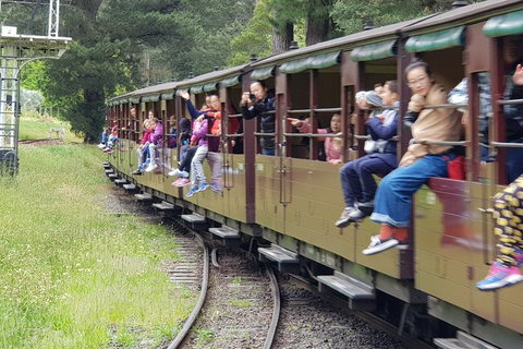 Day Tour Of Yarra Valley Puffing Billy And Rayners Orchard - Accommodation Directory 13