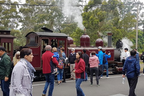 Day Tour Of Yarra Valley Puffing Billy And Rayners Orchard - Accommodation Directory 4