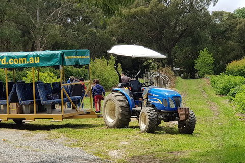 Day Tour Of Yarra Valley Puffing Billy And Rayners Orchard - Accommodation Directory 25