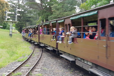 Day Tour Of Yarra Valley Puffing Billy And Rayners Orchard - Accommodation Directory 24