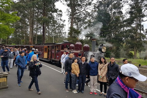 Day Tour Of Yarra Valley Puffing Billy And Rayners Orchard - Accommodation Directory 9