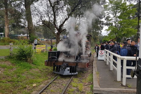 Day Tour Of Yarra Valley Puffing Billy And Rayners Orchard - Accommodation Directory 43