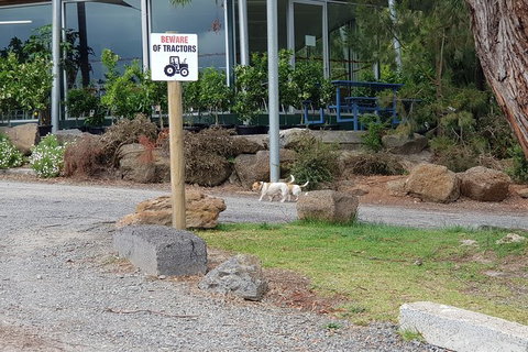 Day Tour Of Yarra Valley Puffing Billy And Rayners Orchard - Accommodation Directory 2
