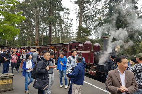 Day Tour Of Yarra Valley Puffing Billy And Rayners Orchard - Accommodation Directory 12