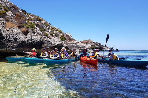 Rottnest Glass Bottom Kayaking Tour - Accommodation Directory 0