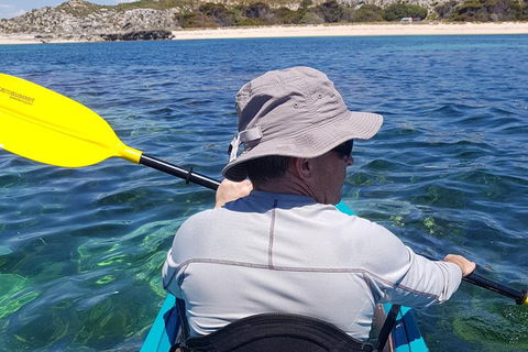 Rottnest Glass Bottom Kayaking Tour - Accommodation Directory 1