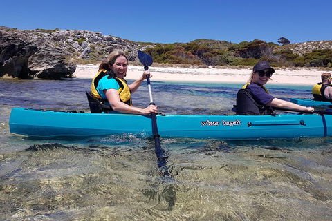 Rottnest Glass Bottom Kayaking Tour - Accommodation Directory 2