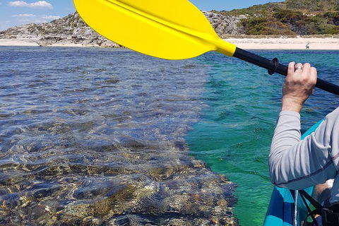Rottnest Glass Bottom Kayaking Tour - Accommodation Directory 3