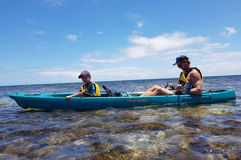 Rottnest Glass Bottom Kayaking Tour - Accommodation Directory 5