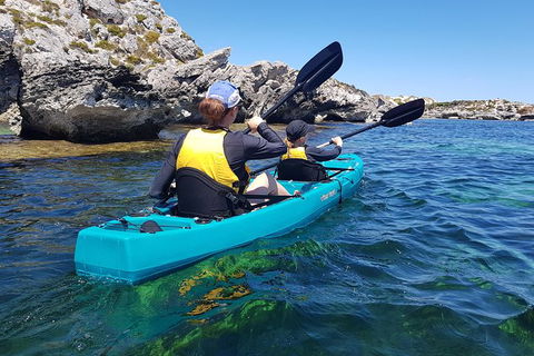 Rottnest Glass Bottom Kayaking Tour - Accommodation Directory 4