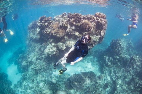 Coral Bay 2-Hour Coral Viewing And Snorkeling - Accommodation Directory 3