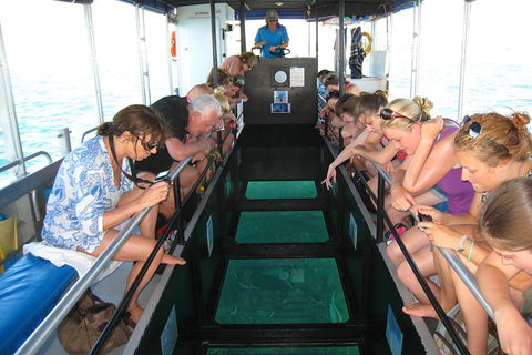 Coral Bay 1-Hour Coral Viewing - Accommodation Directory 3