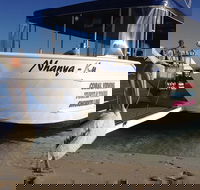 Coral Bay 1-Hour Coral Viewing - Accommodation Directory