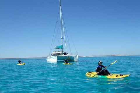 5 Night Ningaloo Reef Ningaloo Escape From Coral Bay - Accommodation Directory 0