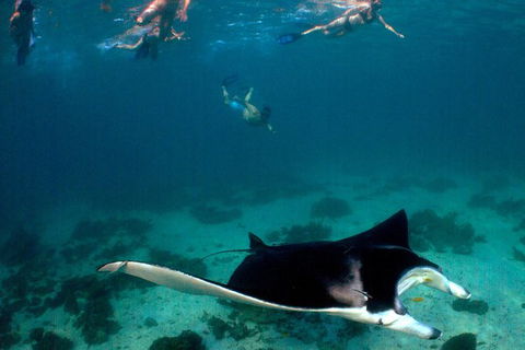 5 Night Ningaloo Reef Ningaloo Escape From Coral Bay - Accommodation Directory 1