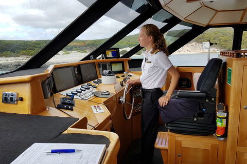 Full-Day Killer Whale Expedition From Albany - Accommodation Directory 4