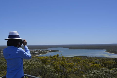 Full-Day Killer Whale Expedition From Albany - Accommodation Directory 5