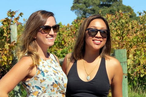 Margaret River Beer & Wine Adventure (departs Dunsborough/Busselton) - Accommodation Directory 1