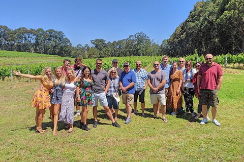 Margaret River Beer & Wine Adventure (departs Dunsborough/Busselton) - Accommodation Directory 10