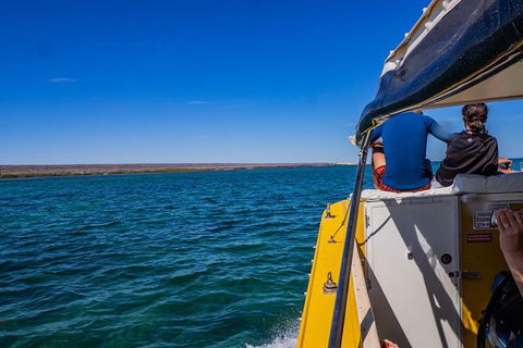 Ningaloo Immersion Private Charter - Accommodation Directory 0