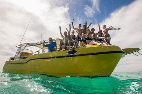Ningaloo Immersion Private Charter - Accommodation Directory 9