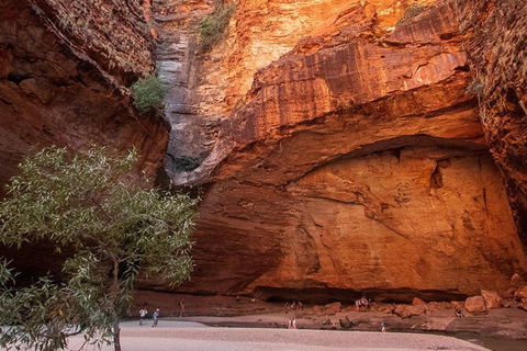 Bungles Day Trek Extended (with Echidna Chasm) - Accommodation Directory 0