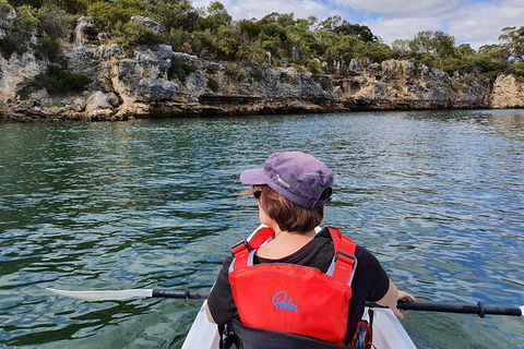 Cliffs And Caves Kayak Tour In Swan River - Accommodation Directory 1