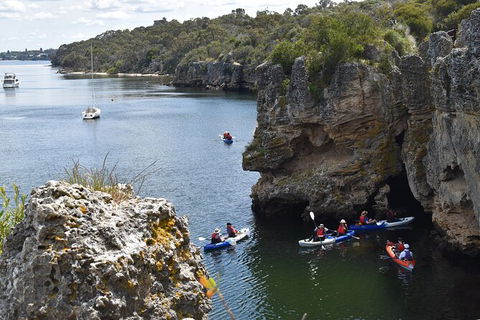 Cliffs And Caves Kayak Tour In Swan River - Accommodation Directory 2