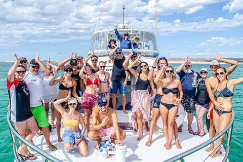 Full-Day Whale Sharks Swimming Experience On Ningaloo Reef - Accommodation Directory 1