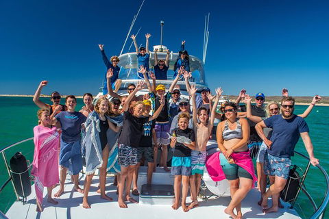 Full-Day Whale Sharks Swimming Experience On Ningaloo Reef - Accommodation Directory 15