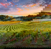 Swan Valley Sunset Wine Tour - Premium Small Group Tour - Accommodation Directory
